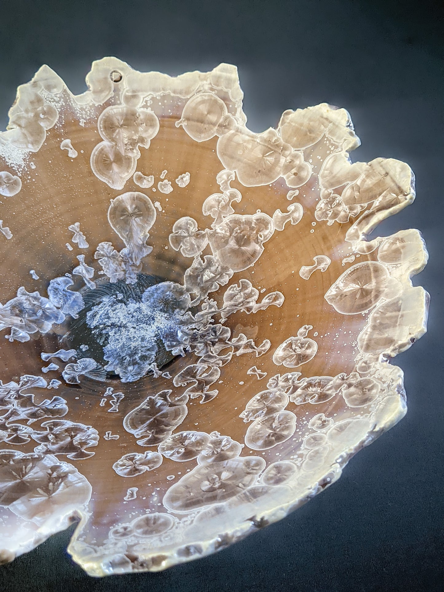 Edge of Humanity VII