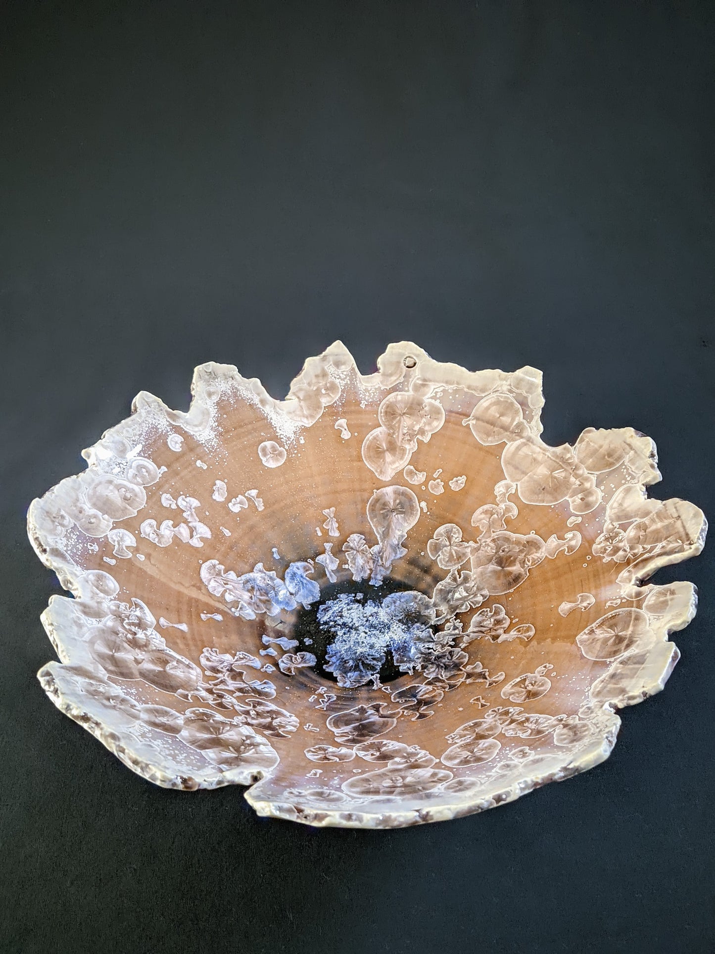 Edge of Humanity VII