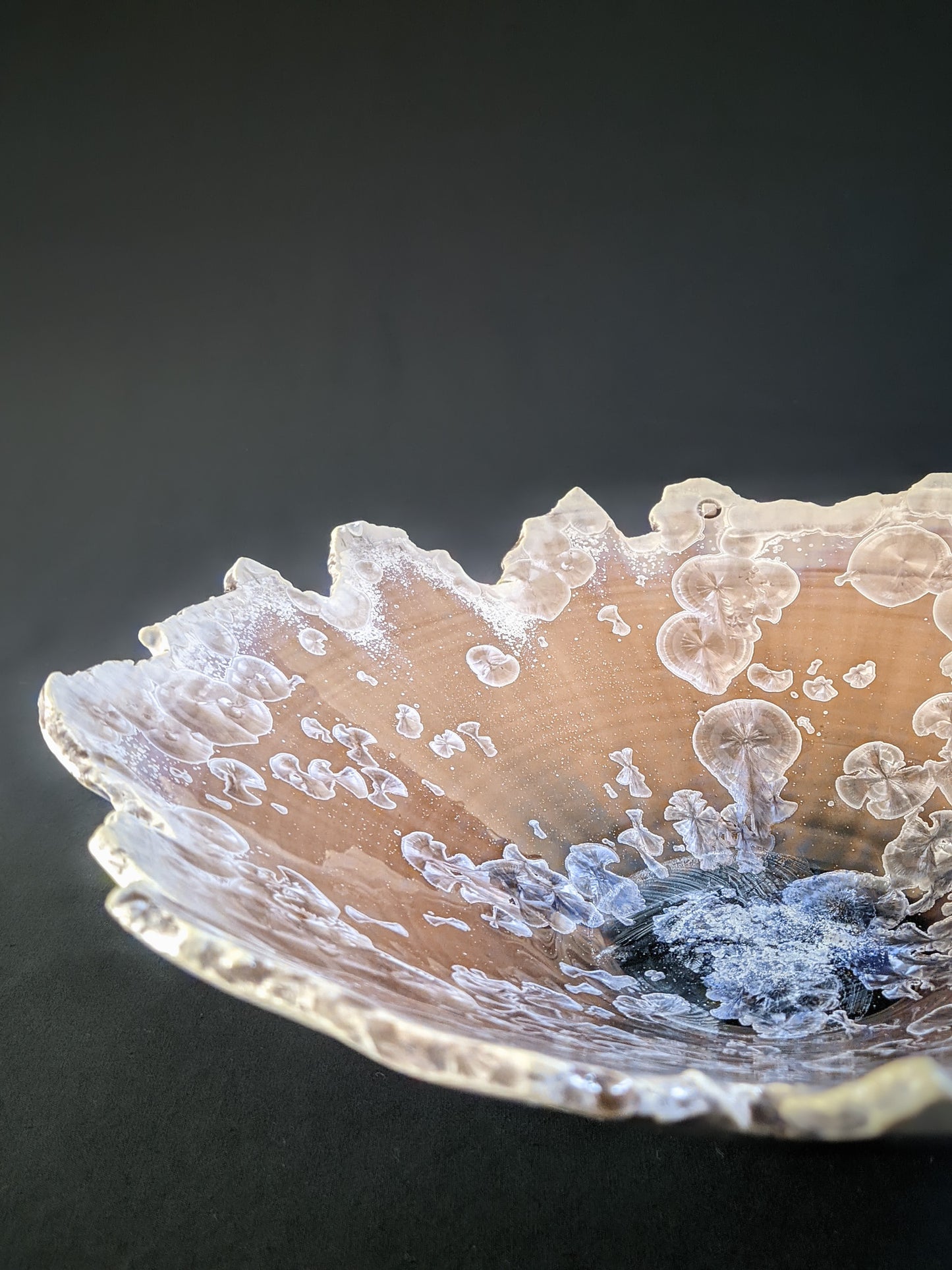 Edge of Humanity VII