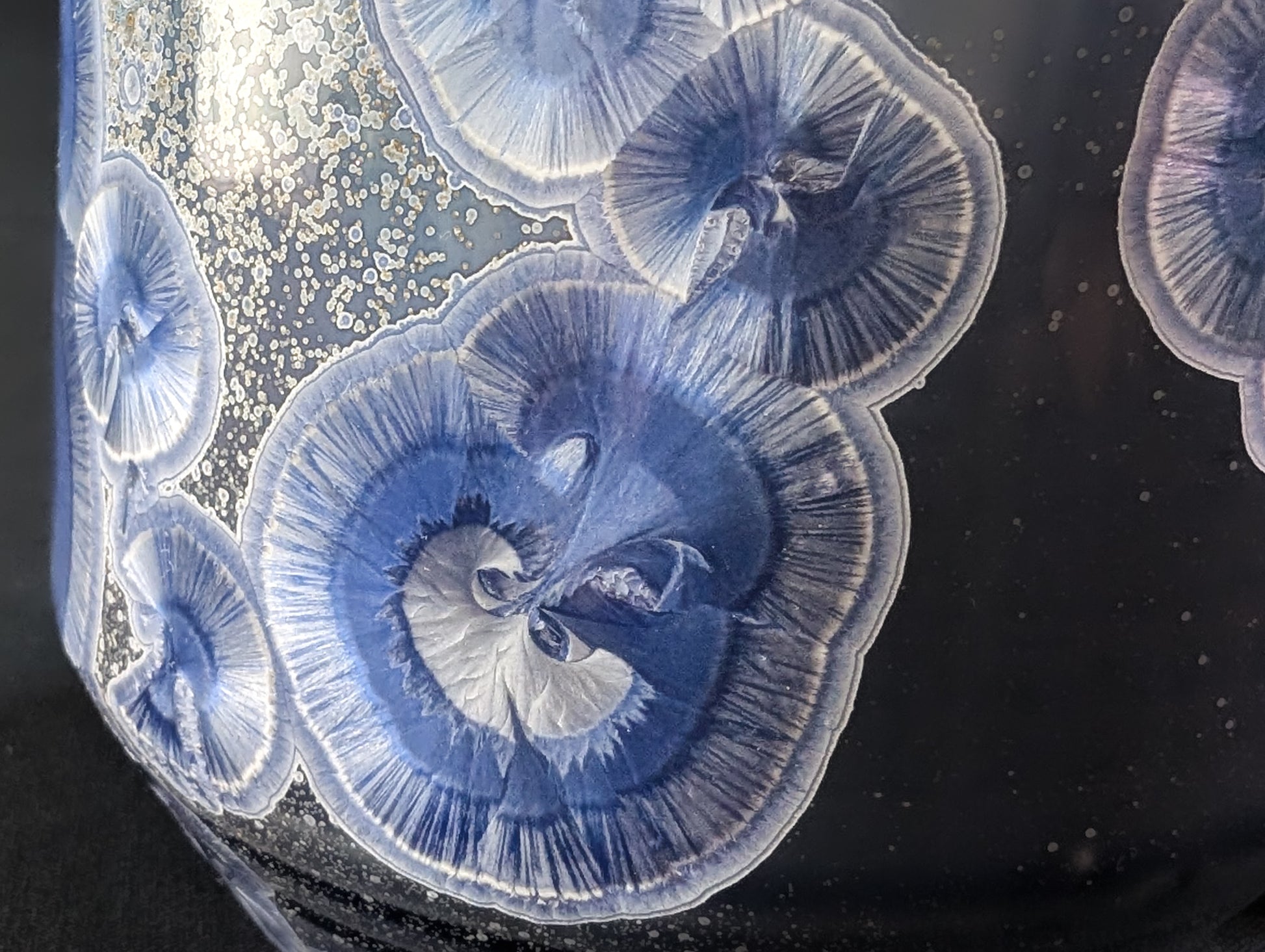 Crystalline formations in soft white and blue with tiny secondary crystals in the background.