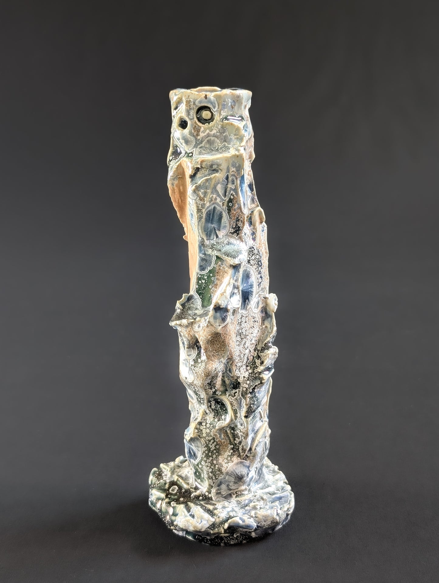 Frontal view of Rock Bound, single flower vase by ceramic artist Robbin Harris.