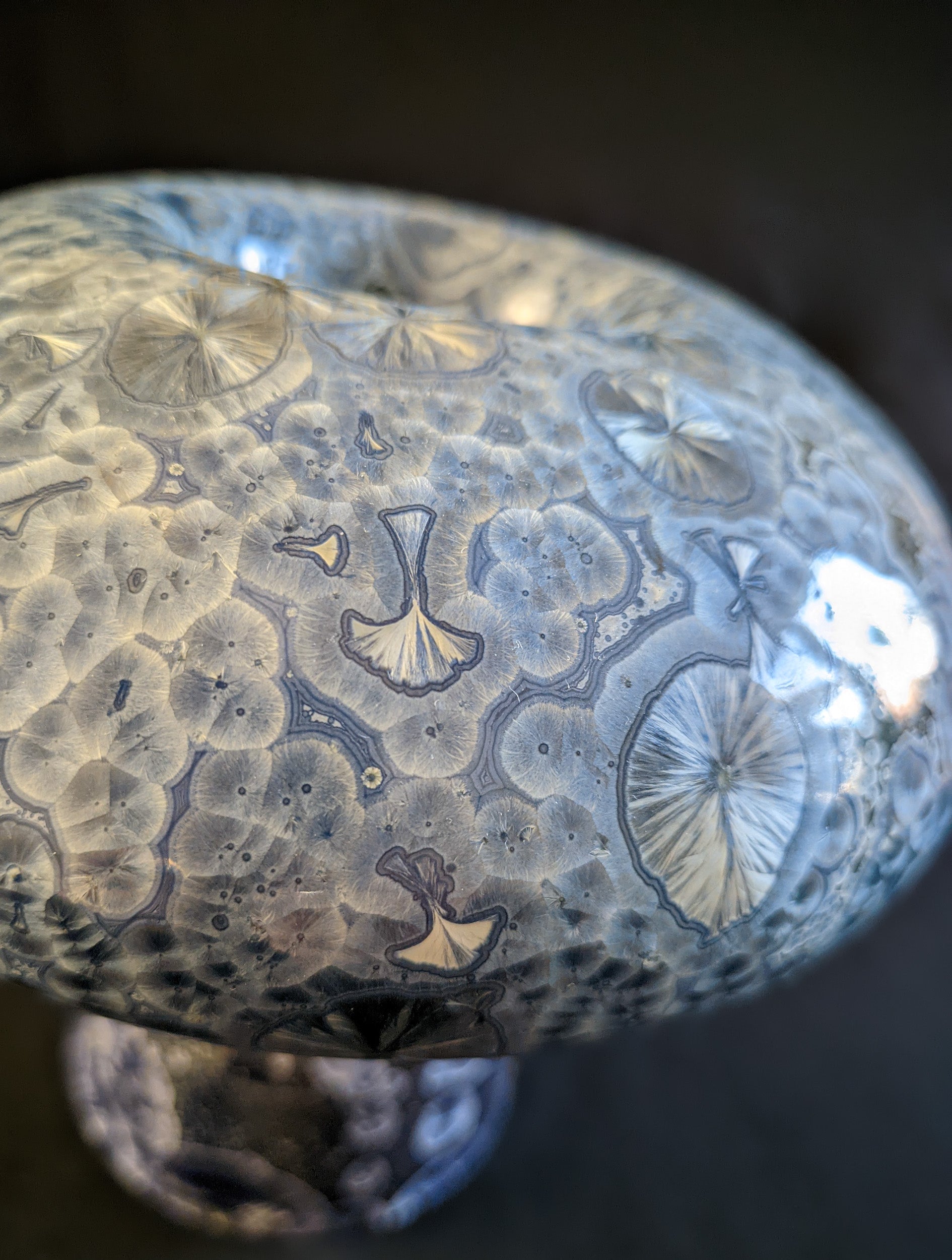 Close up of porcelain vase titled "Cosmic Fungi," featuring light blue and silver ringed crystals, deep blue stem, and a bulbous cap with glaze drips, set against a contrasting background