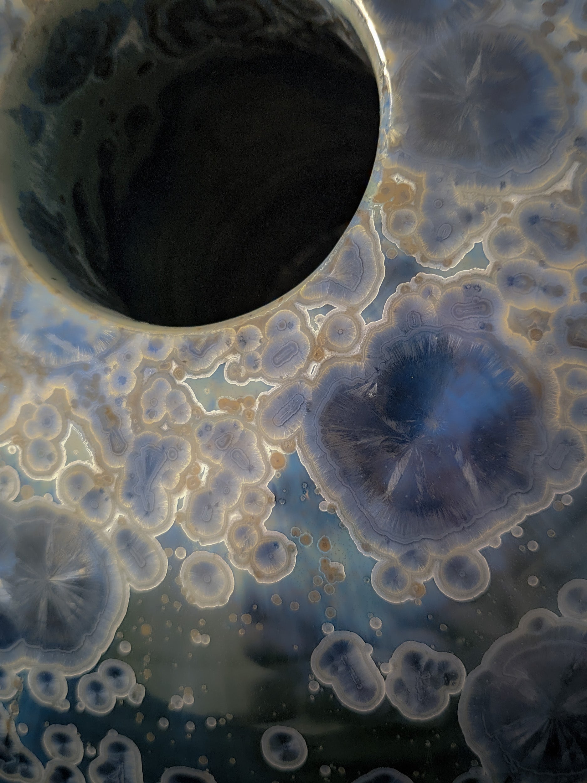 Close up of large, round mushroom vase with a deep green to blue gradient background. 