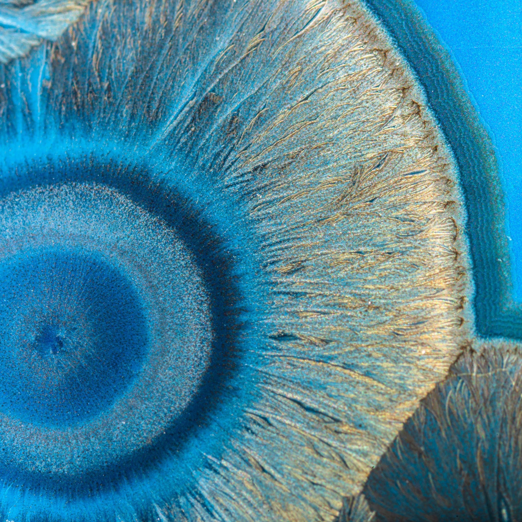 Detailed view of blue crystals spreading across the ceramic surface, their delicate structure resembling frost or blooming flowers. Photography by Kelly Hofer.